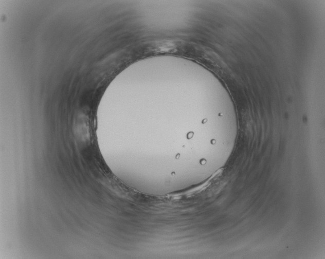 X0000072551442200608041636