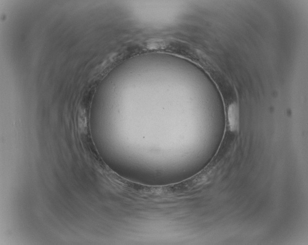 X0000072551443200608041636