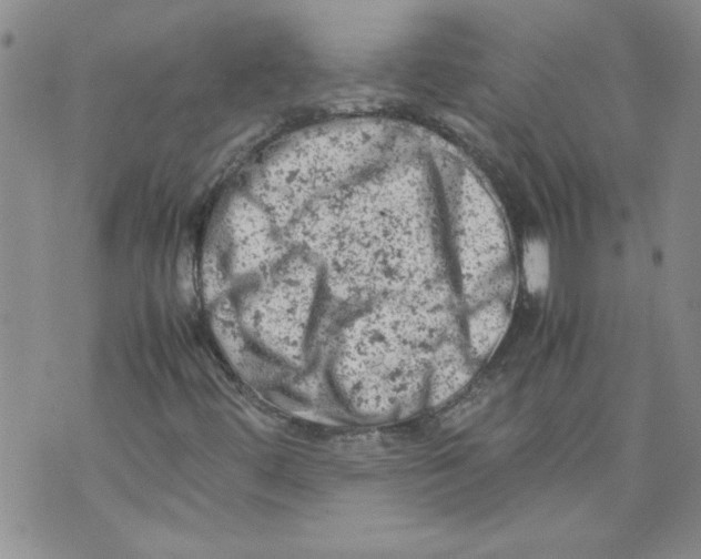 X0000072551444200608041636