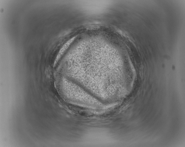 X0000072551445200608041636