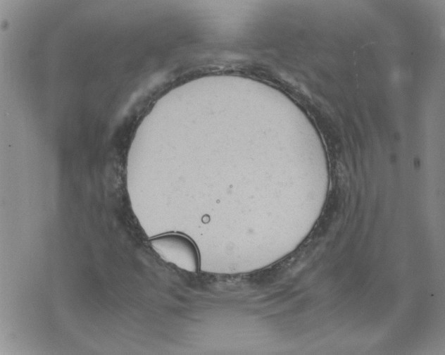 X0000072551447200608041636