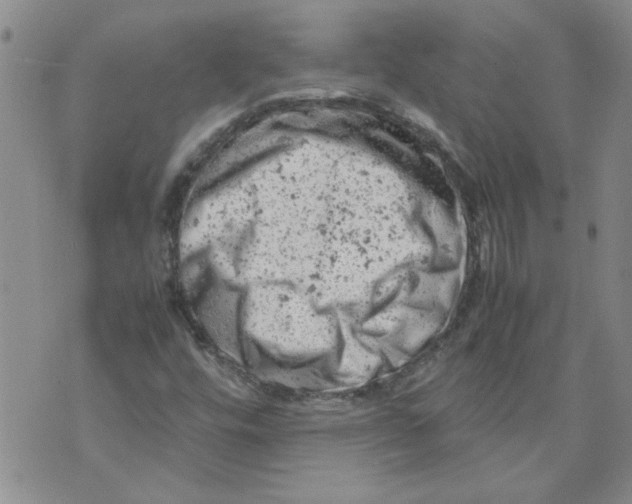 X0000072551448200608041636