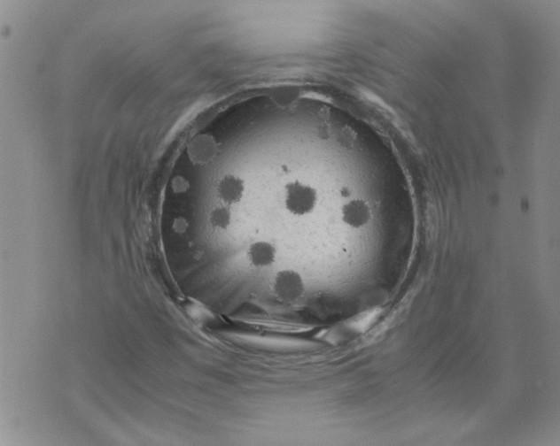 X0000072551449200608041636