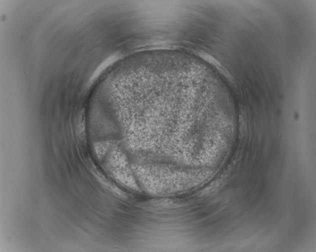 X0000072551450200608041636