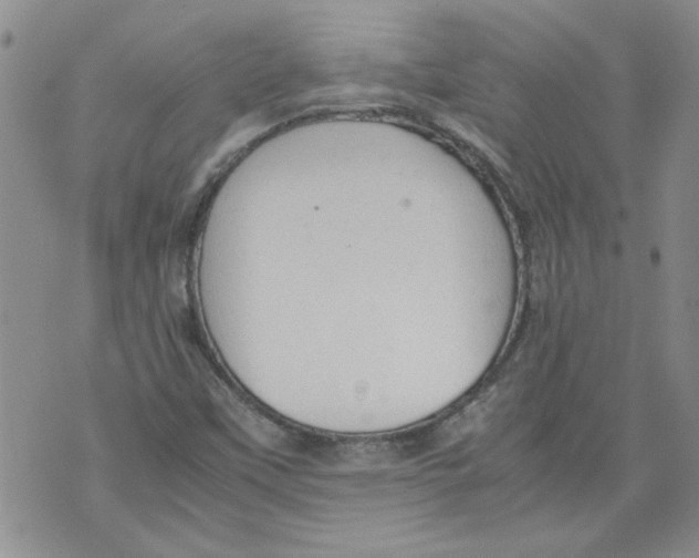 X0000072551451200608041636