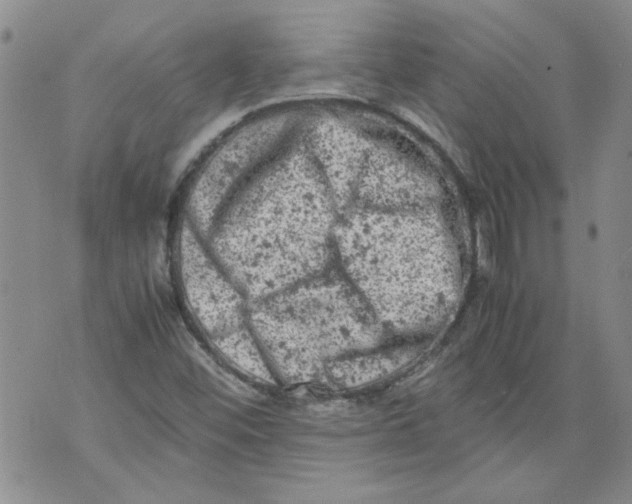 X0000072551452200608041636