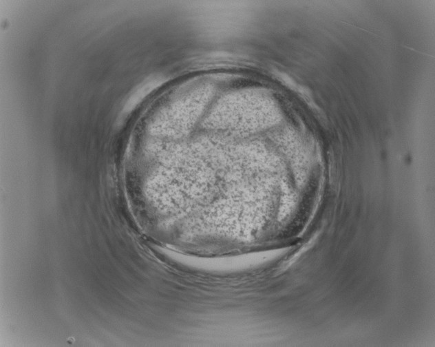 X0000072551453200608041636