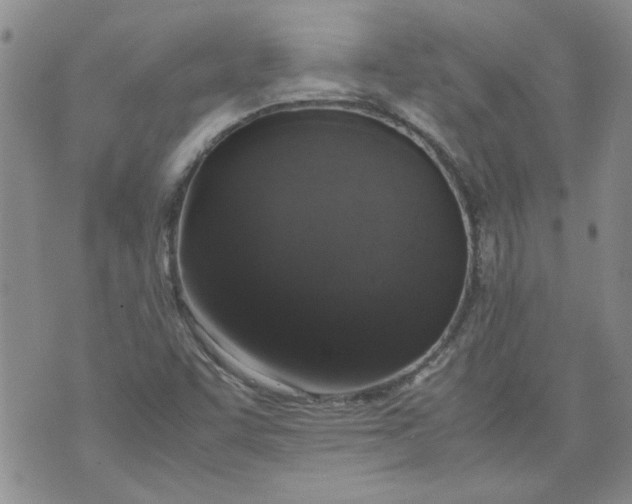 X0000072551455200608041636