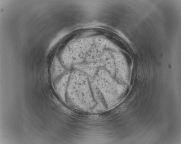 X0000072551456200608041636