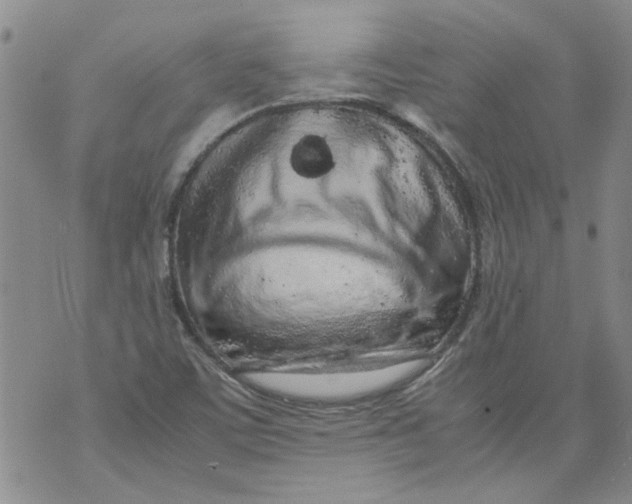 X0000072551459200608041636