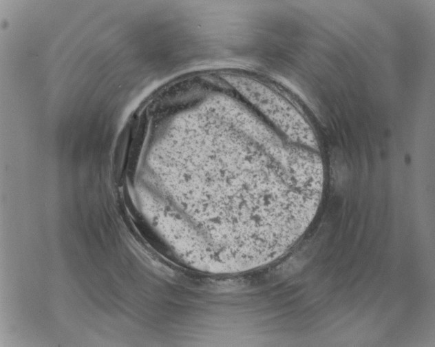 X0000072551460200608041636