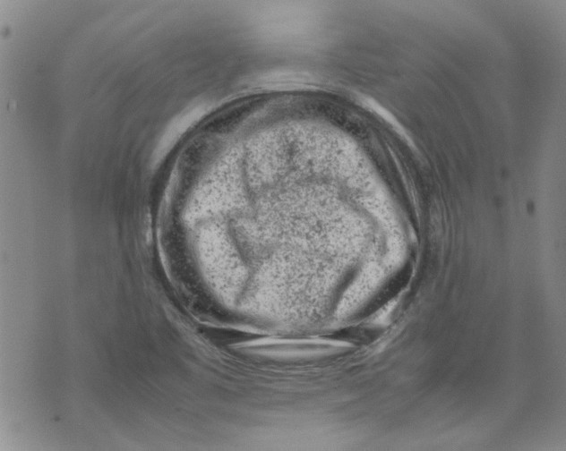 X0000072551461200608041636