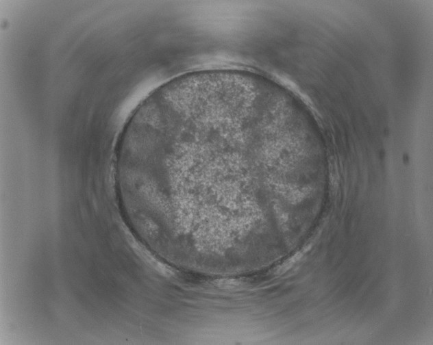 X0000072551463200608041636