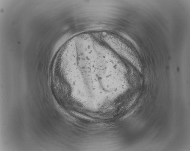 X0000072551467200608041636