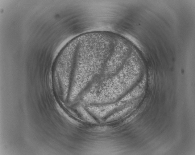 X0000072551468200608041636