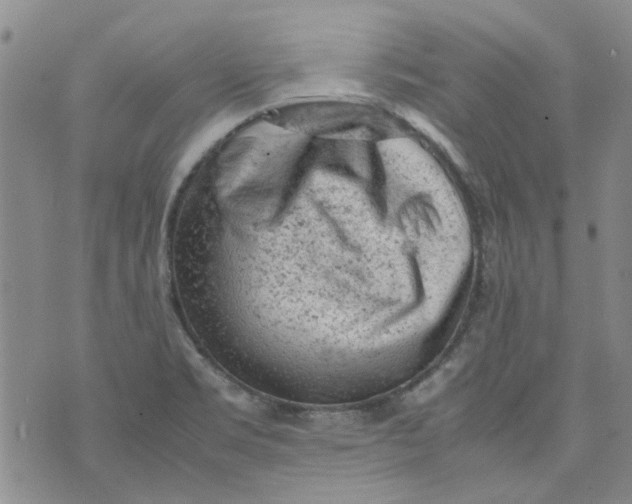 X0000072551469200608041636