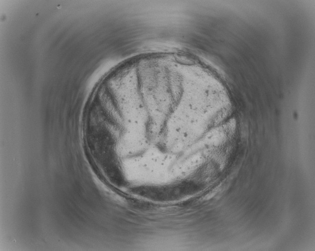 X0000072551471200608041636