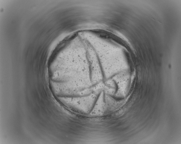 X0000072551472200608041636