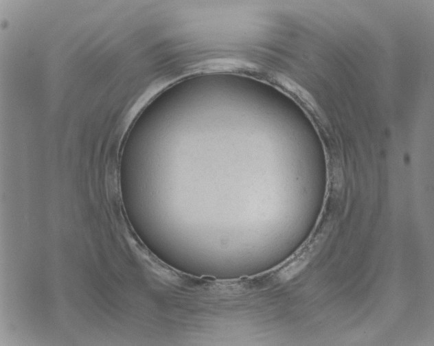 X0000072551473200608041636