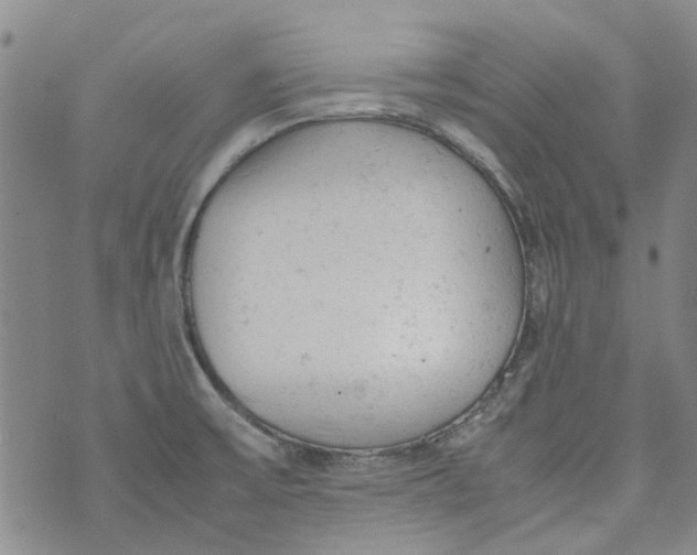 X0000072551475200608041636