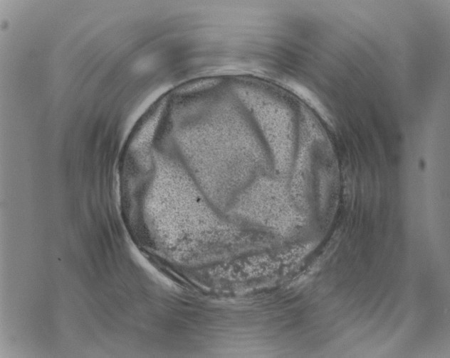 X0000072551476200608041636