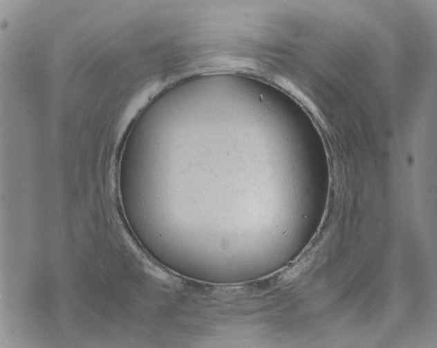 X0000072551477200608041635