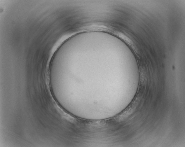 X0000072551478200608041635