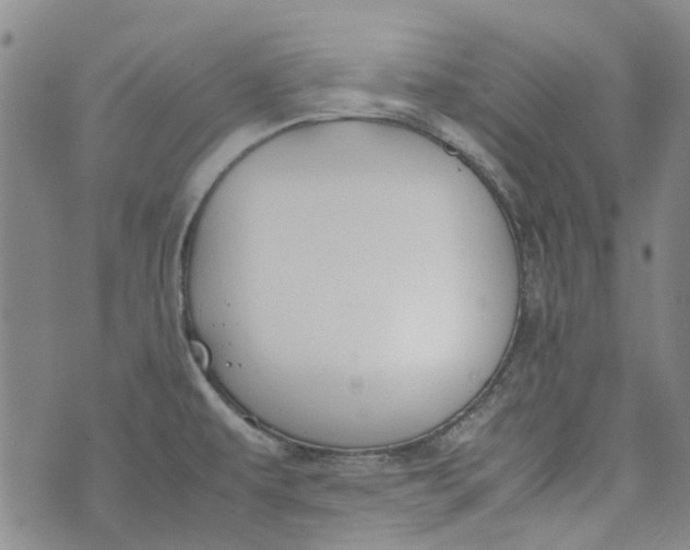 X0000072551479200608041635