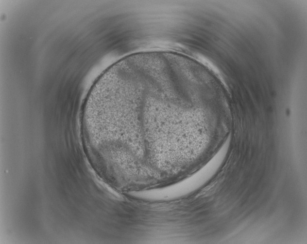 X0000072551480200608041635