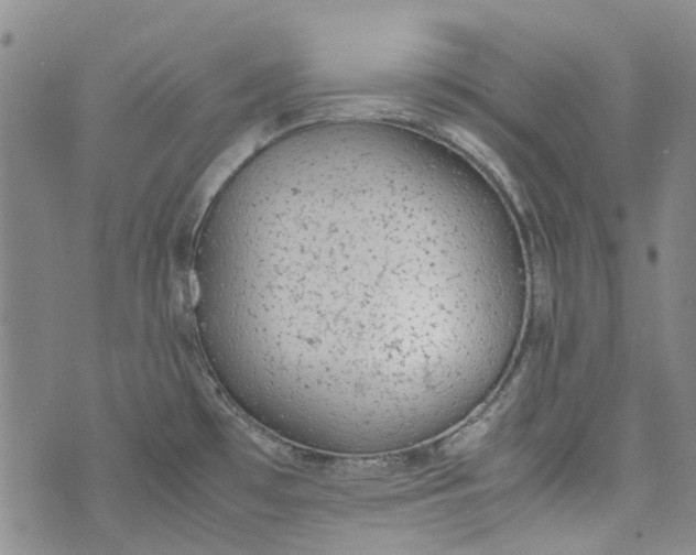 X0000072551481200608041635