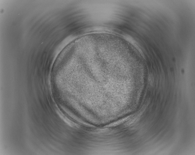 X0000072551482200608041635