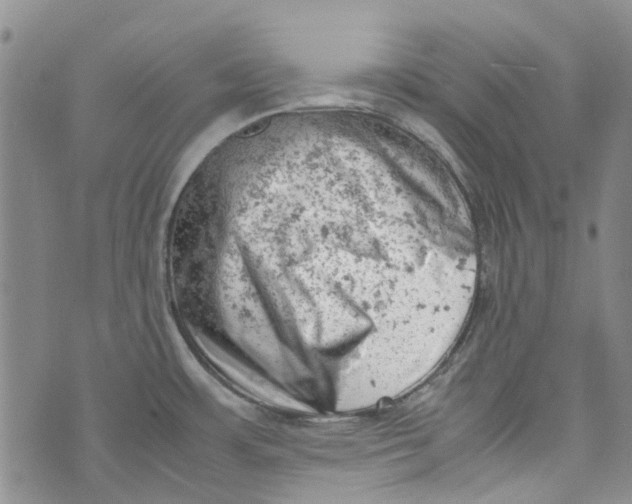 X0000072551483200608041635