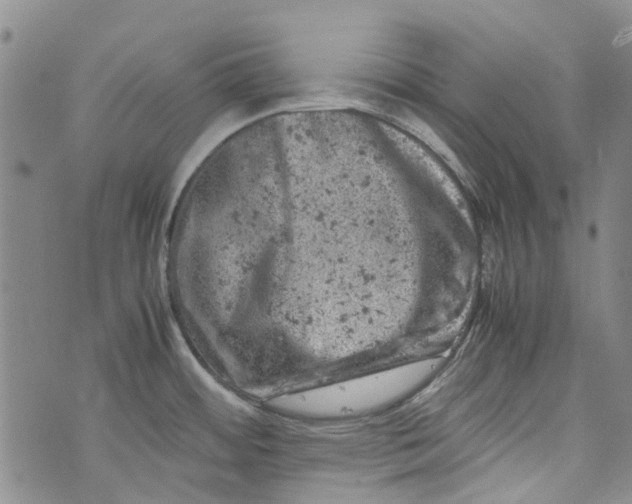 X0000072551484200608041635