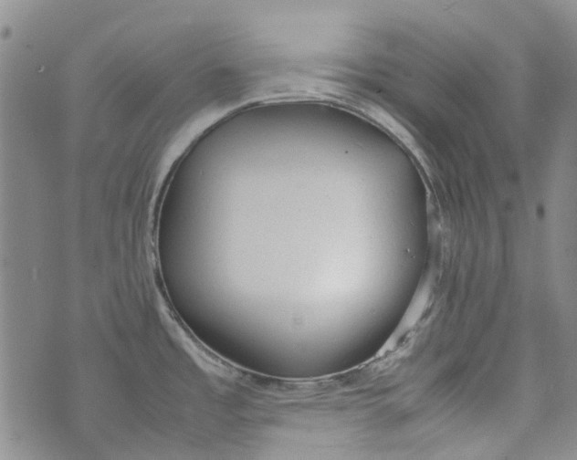 X0000072551485200608041635