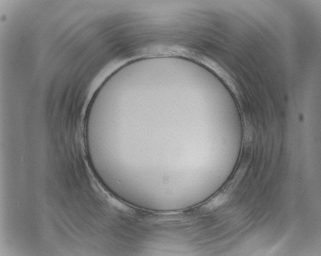 X0000072551486200608041635