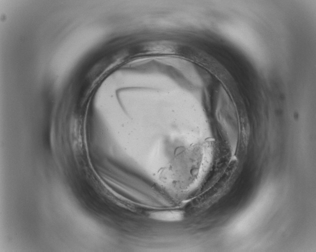 X0000072551487200608041635