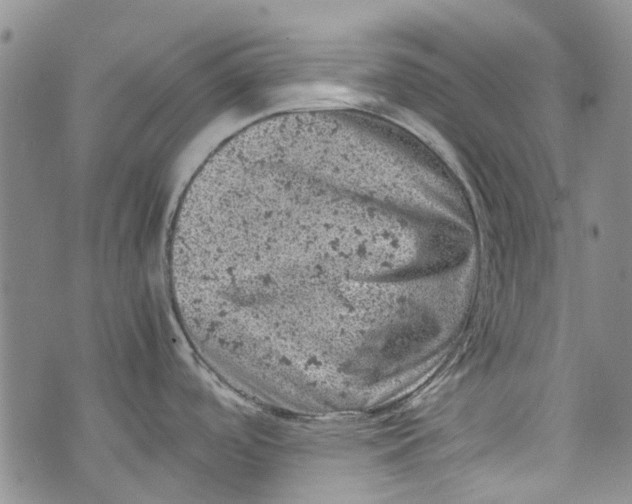 X0000072551488200608041635