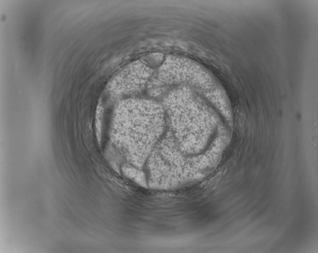 X0000072551489200608041635