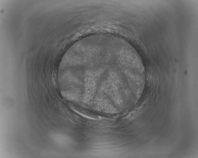 X0000072551490200608041635