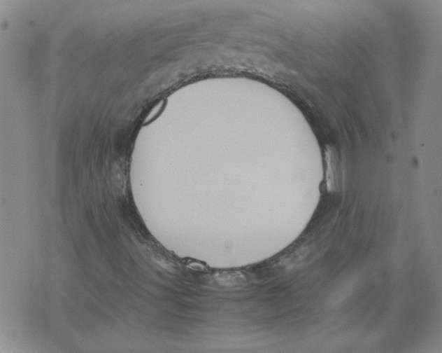 X0000072551491200608041635