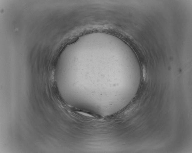 X0000072551492200608041635