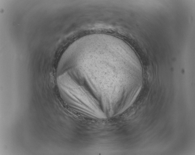 X0000072551493200608041635