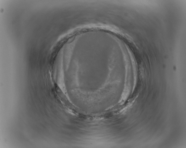 X0000072551494200608041635