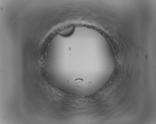 X0000072551495200608041635