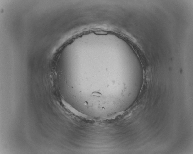 X0000072551496200608041635