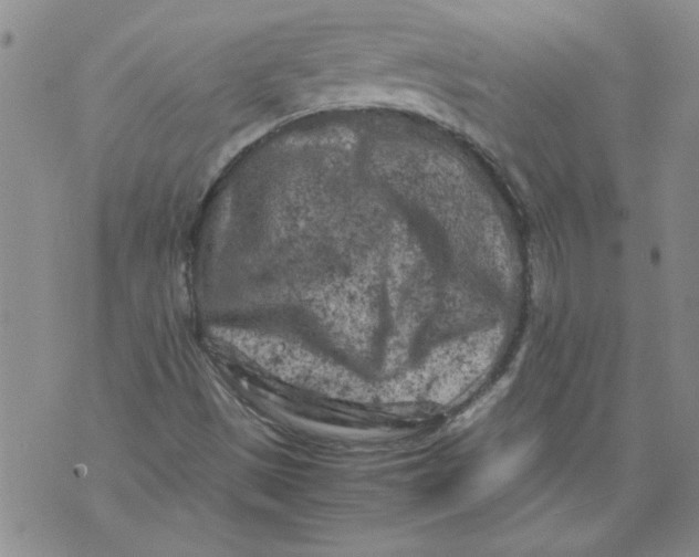 X0000072551497200608041635