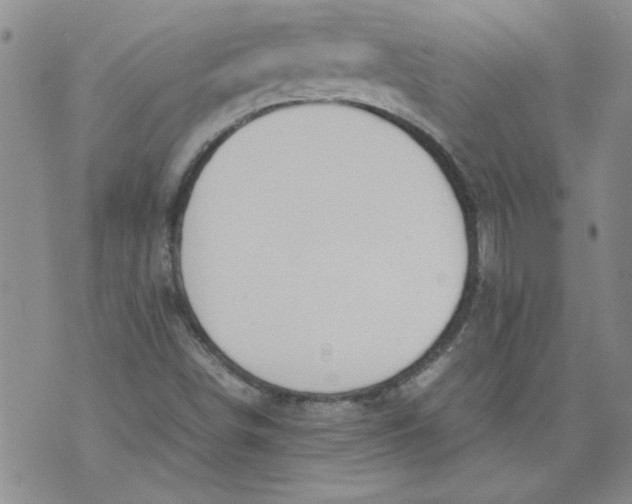 X0000072551498200608041635