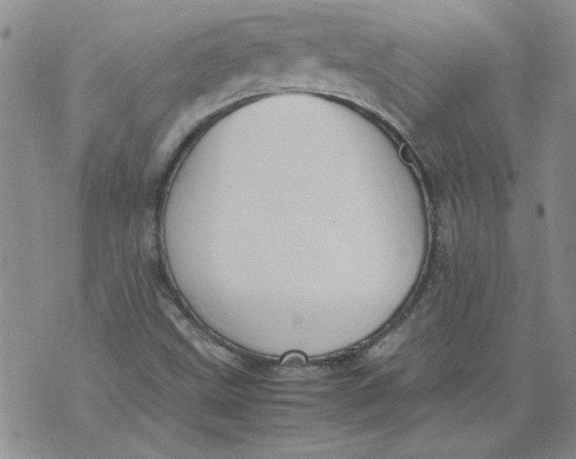 X0000072551499200608041635