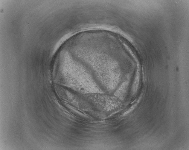 X0000072551501200608041635