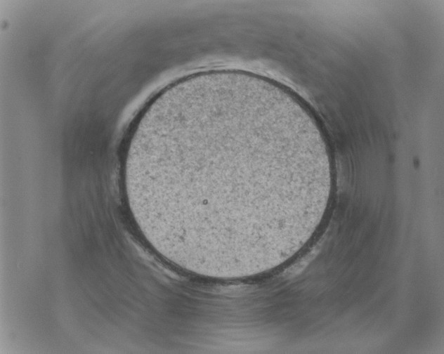 X0000072551502200608041635